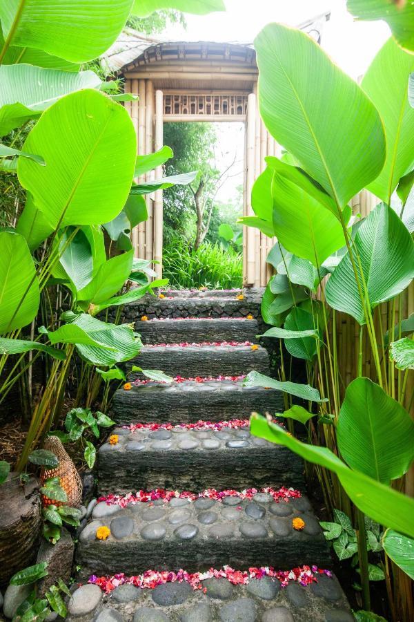 Balikayanas Bamboo House - Miggiell House Villa Karangasem Eksteriør bilde